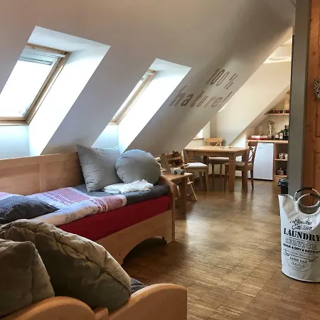 Chalet By Ski Slopes 公寓 克拉尼斯卡戈拉