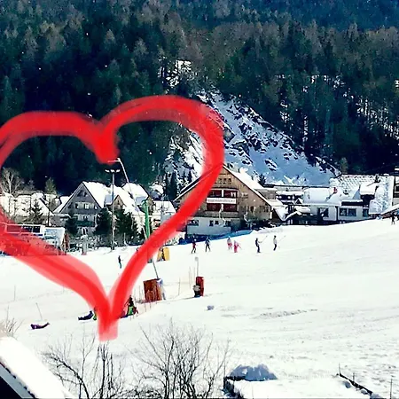 Chalet By Ski Slopes 公寓